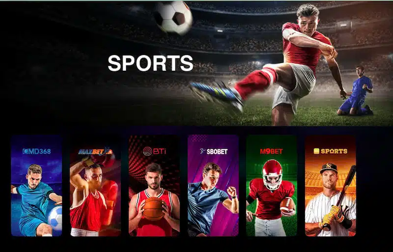 M98 sports betting lobby